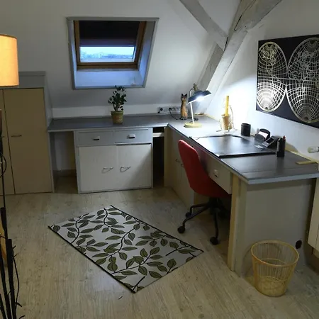 Duplex Spacieux Tout Confort Mulhouse Exterior photo